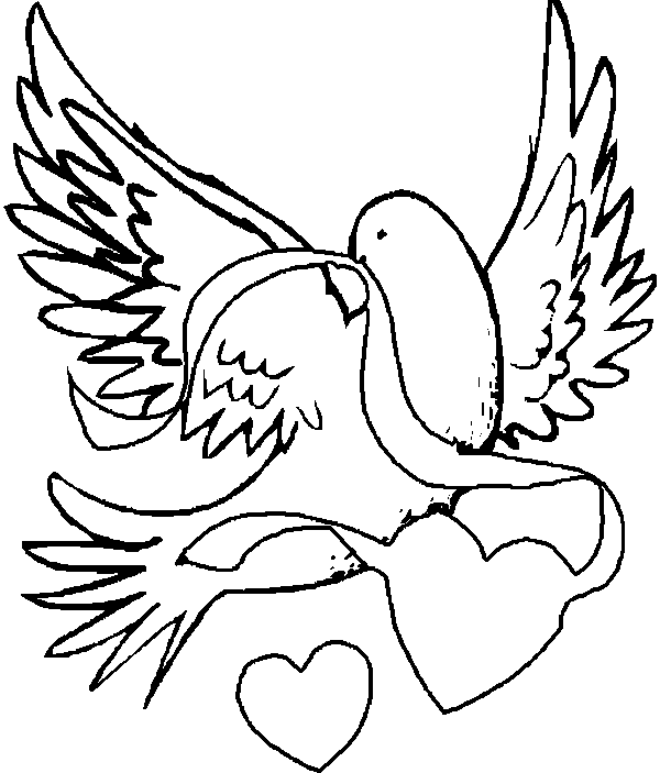 Valentine Dove