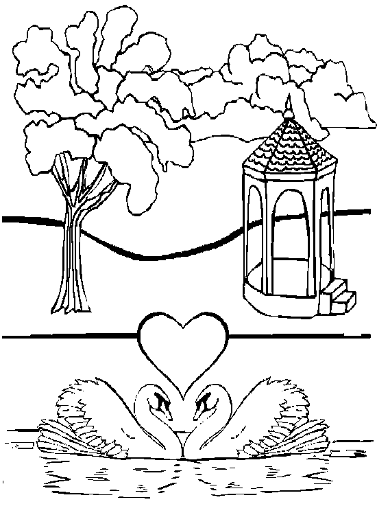 Valentine Swans