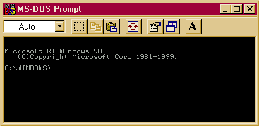 MS-DOS Window