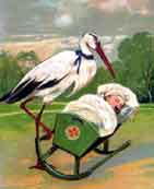 Stork and Baby