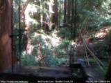 Archived Webcam Image