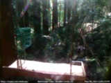 Archived Webcam Image