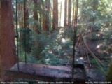 Current Webcam Image